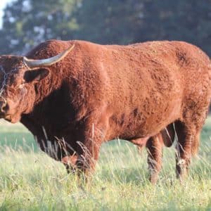 OSLO : FR6364538029