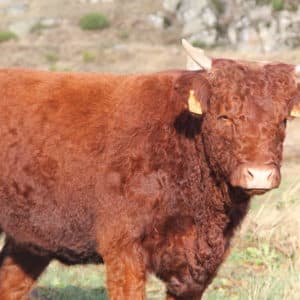 URBAINE : FR6372423321