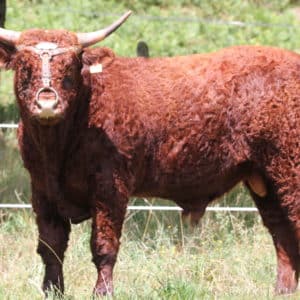 UBERT FR6372423302 - lot 401