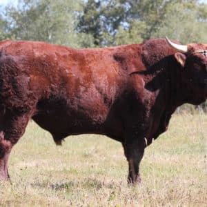 TRESOR FR1944581557 - Lot 405