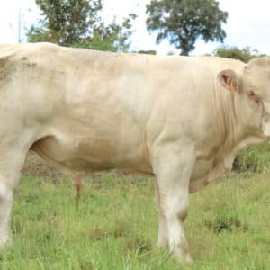 VANCOUVER P - Lot 420